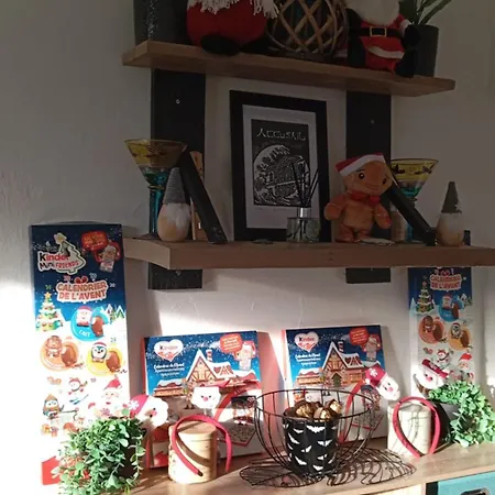 Le Petit Cosy Boulogne-sur-Mer