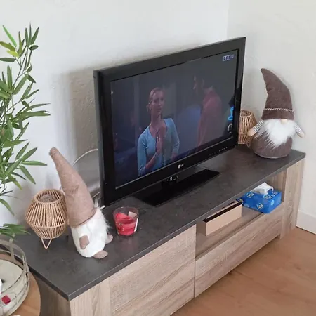 Appartement Le Petit Cosy